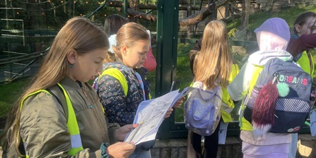 Detektywi w ZOO