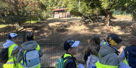 Powiększ grafikę: detektywi-w-zoo-640855.jpg