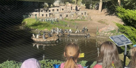 Powiększ grafikę: detektywi-w-zoo-640857.jpg