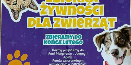 Dzień kota