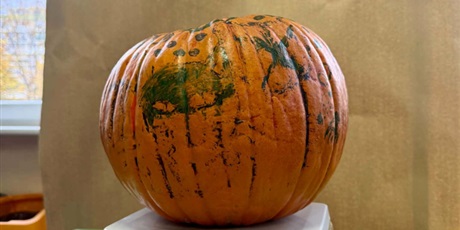 Powiększ grafikę: nagrody-719324.jpg