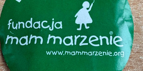 Powiększ grafikę: spelniac-marzenia-678500.jpg