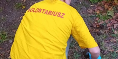 Powiększ grafikę: wolontariat-645968.jpg