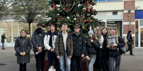 Powiększ grafikę: wolontariat-664887.jpg