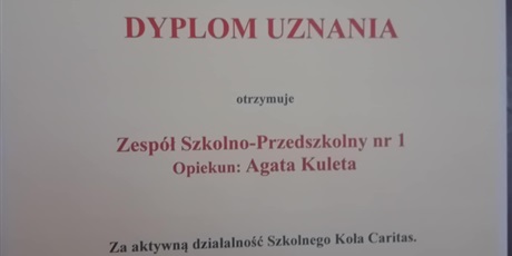 Powiększ grafikę: wolontariusze-575600.jpg