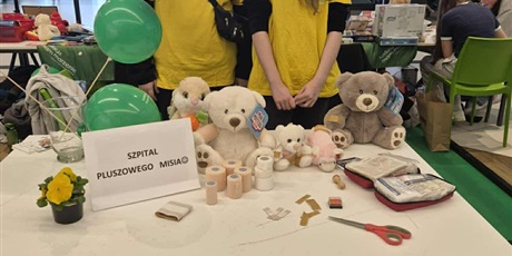 Powiększ grafikę: wolontariusze-682967.jpg