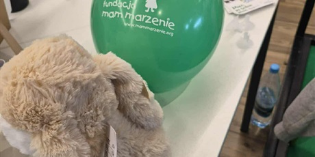 Powiększ grafikę: wolontariusze-682968.jpg