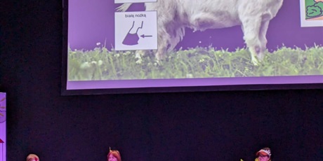 Powiększ grafikę: xvii-przeglad-malych-form-teatralnych-653969.jpg