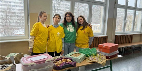 Powiększ grafikę: zbieramy-dla-673749.jpg