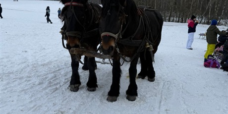 Powiększ grafikę: zimowe-szalenstwa-670358.jpg