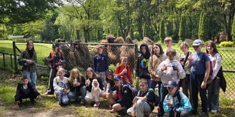 ZOO