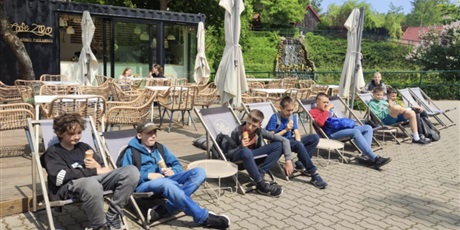 Powiększ grafikę: zoo-620258.jpg