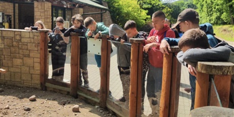 Powiększ grafikę: zoo-620259.jpg
