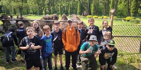 Powiększ grafikę: zoo-620260.jpg